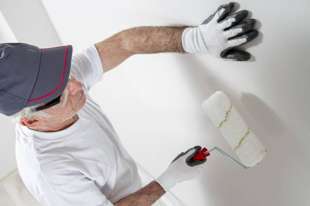 Trusted Waianae, HI Mold Removal Experts