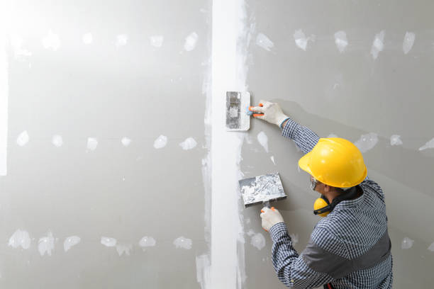 Best Forensic Mold Investigation  in Waianae, HI