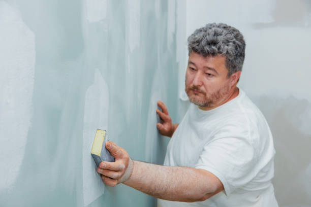 Best Comprehensive Air Testing for Mold Contaminants  in Waianae, HI