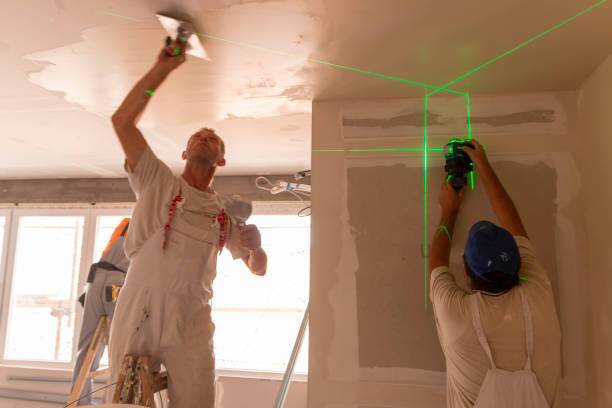 Best Mold Remediation for Vacation Homes  in Waianae, HI